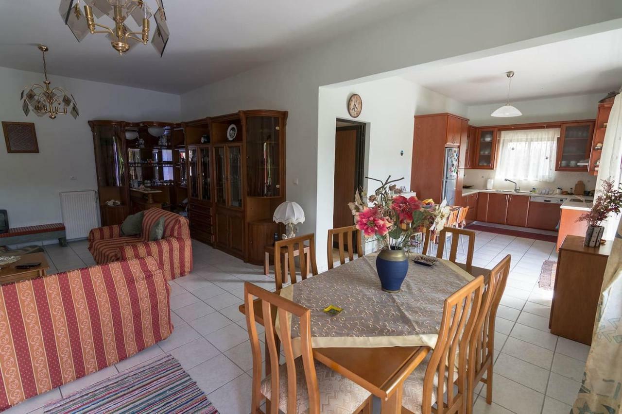 Big Family House In Mesochoria Village Esterno foto