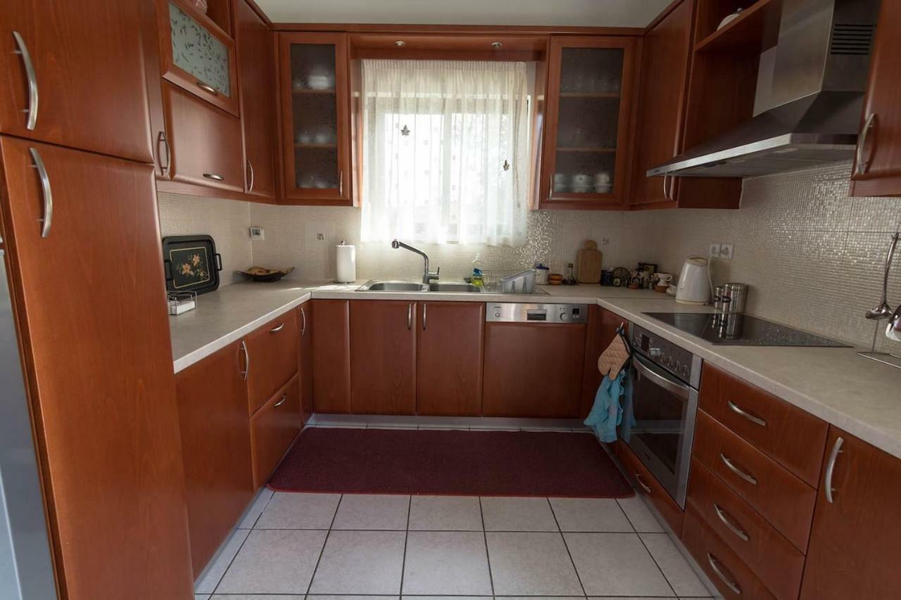 Big Family House In Mesochoria Village Esterno foto