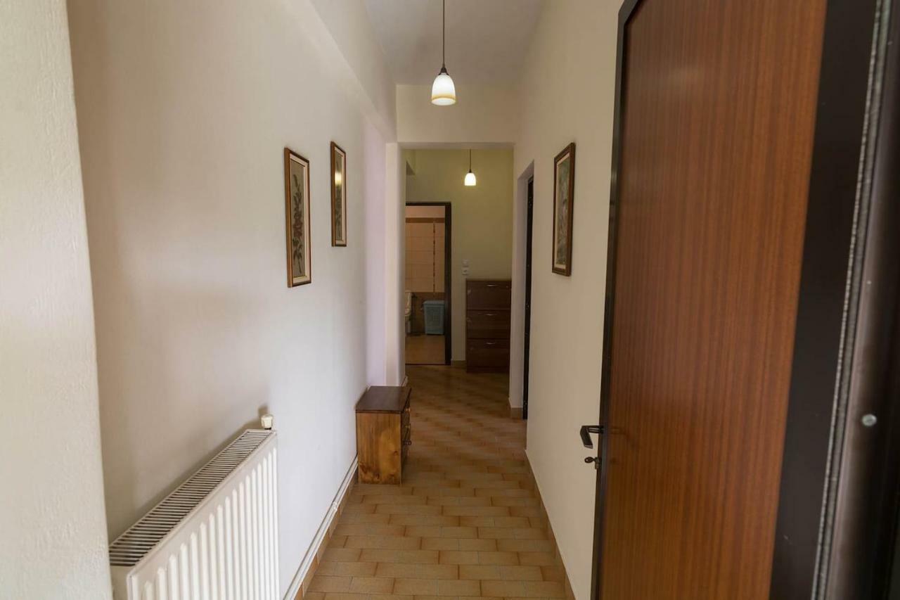 Big Family House In Mesochoria Village Esterno foto