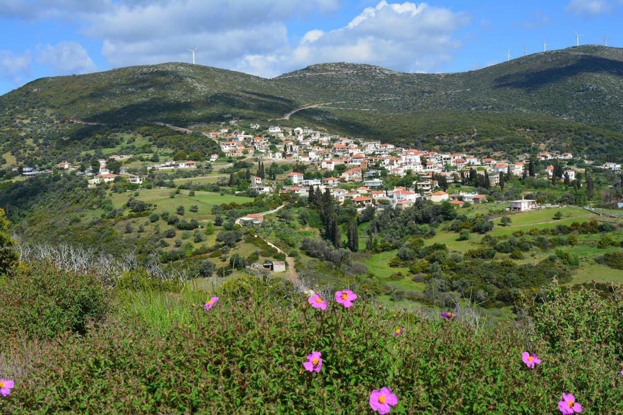 Big Family House In Mesochoria Village Esterno foto